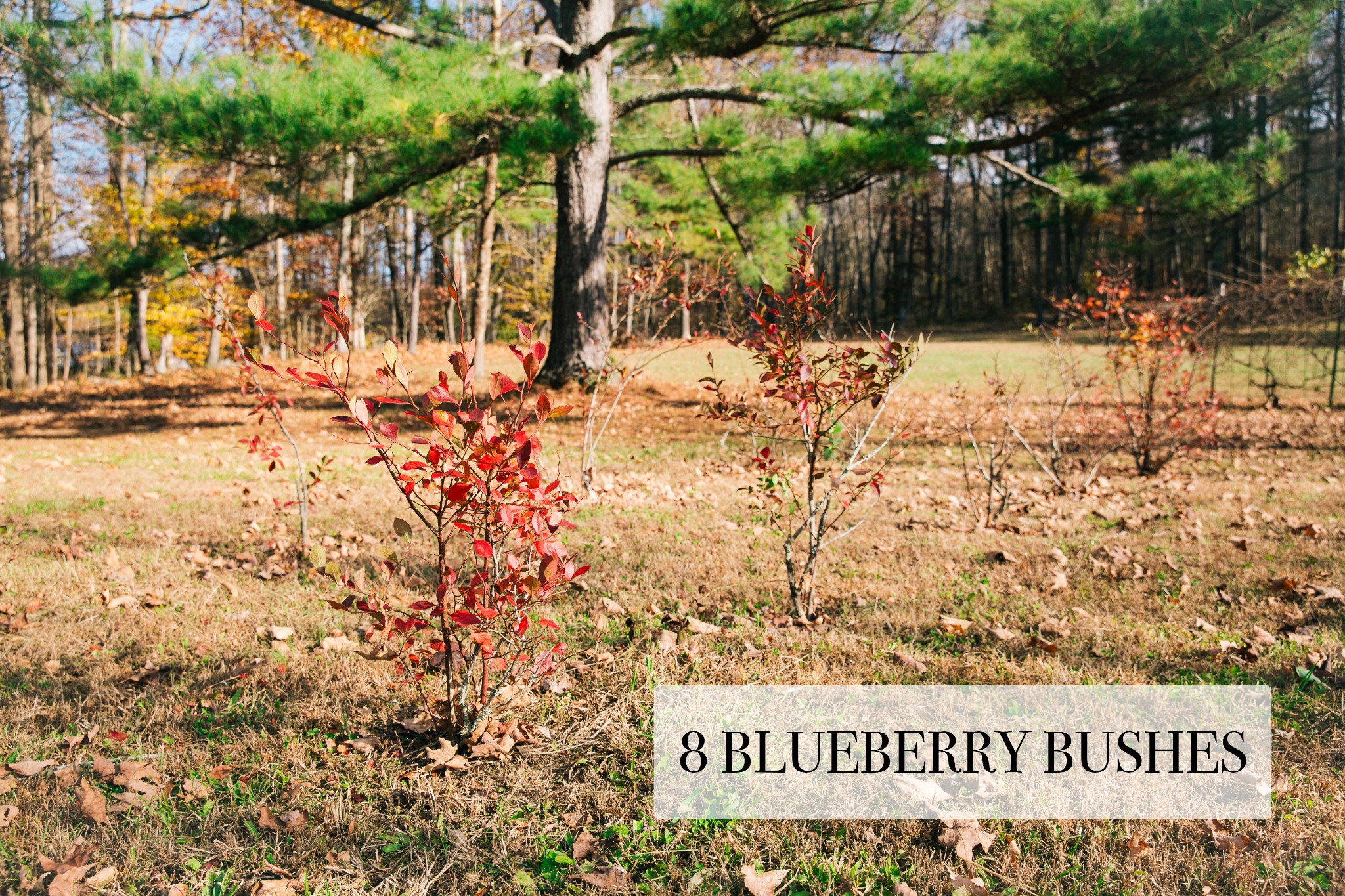 399 Indian Creek Road Hohenwald, TN 38462 - Photo 25 of 40