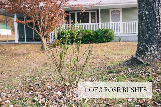 $289,900 | 399 Indian Creek Road, Hohenwald, TN 38462