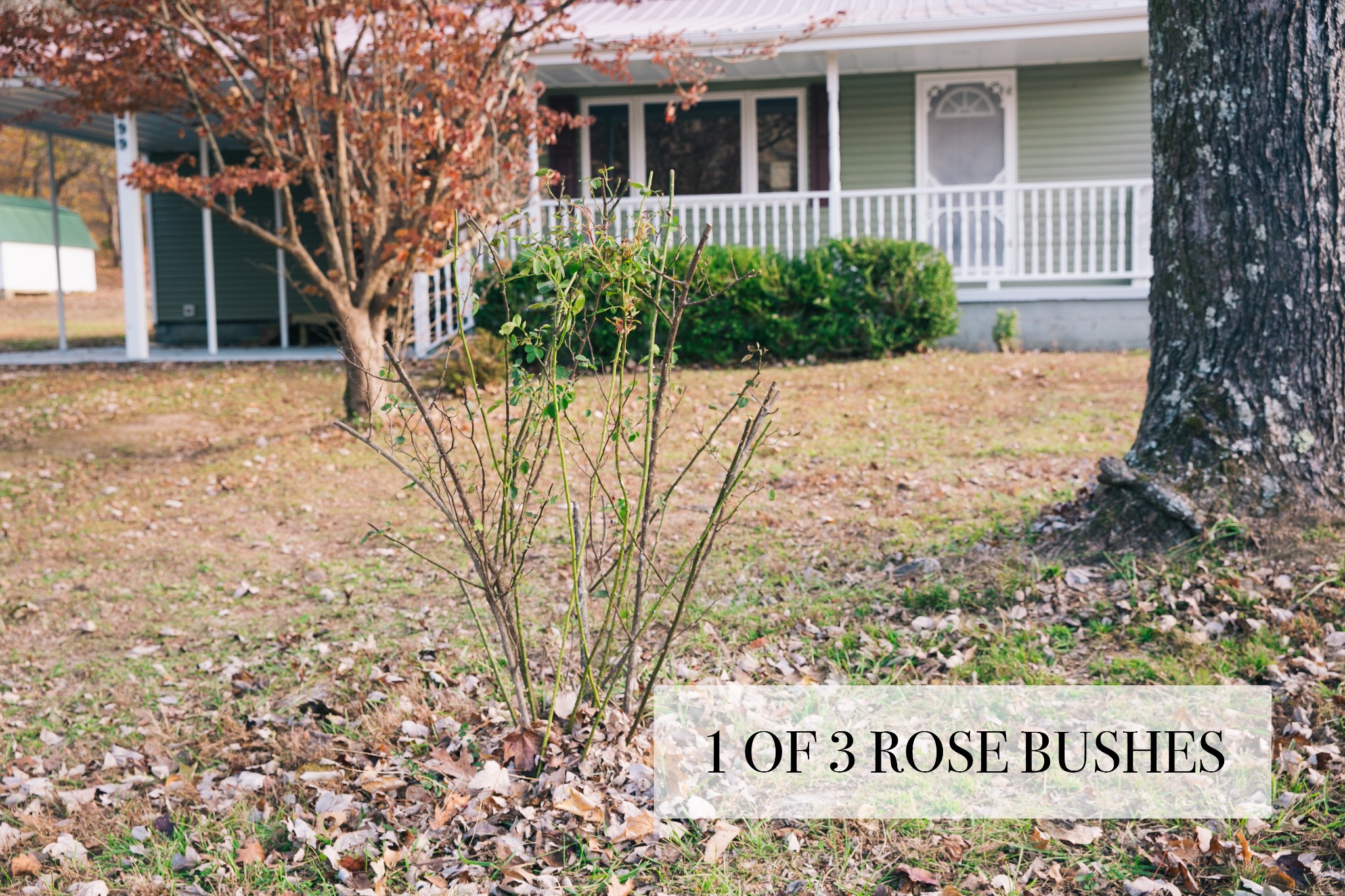 399 Indian Creek Road Hohenwald, TN 38462 - Photo 27 of 40