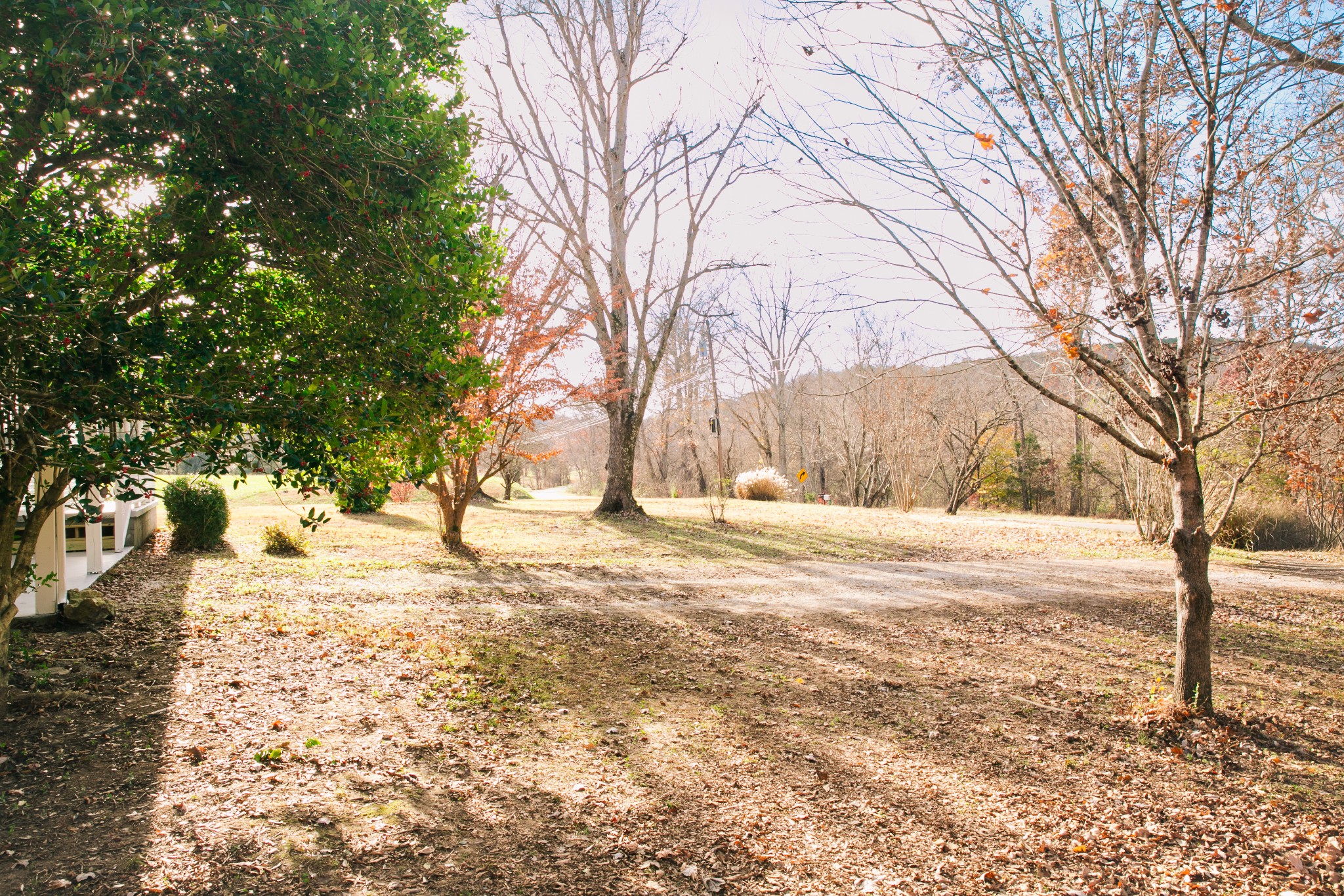 399 Indian Creek Road Hohenwald, TN 38462 - Photo 32 of 40