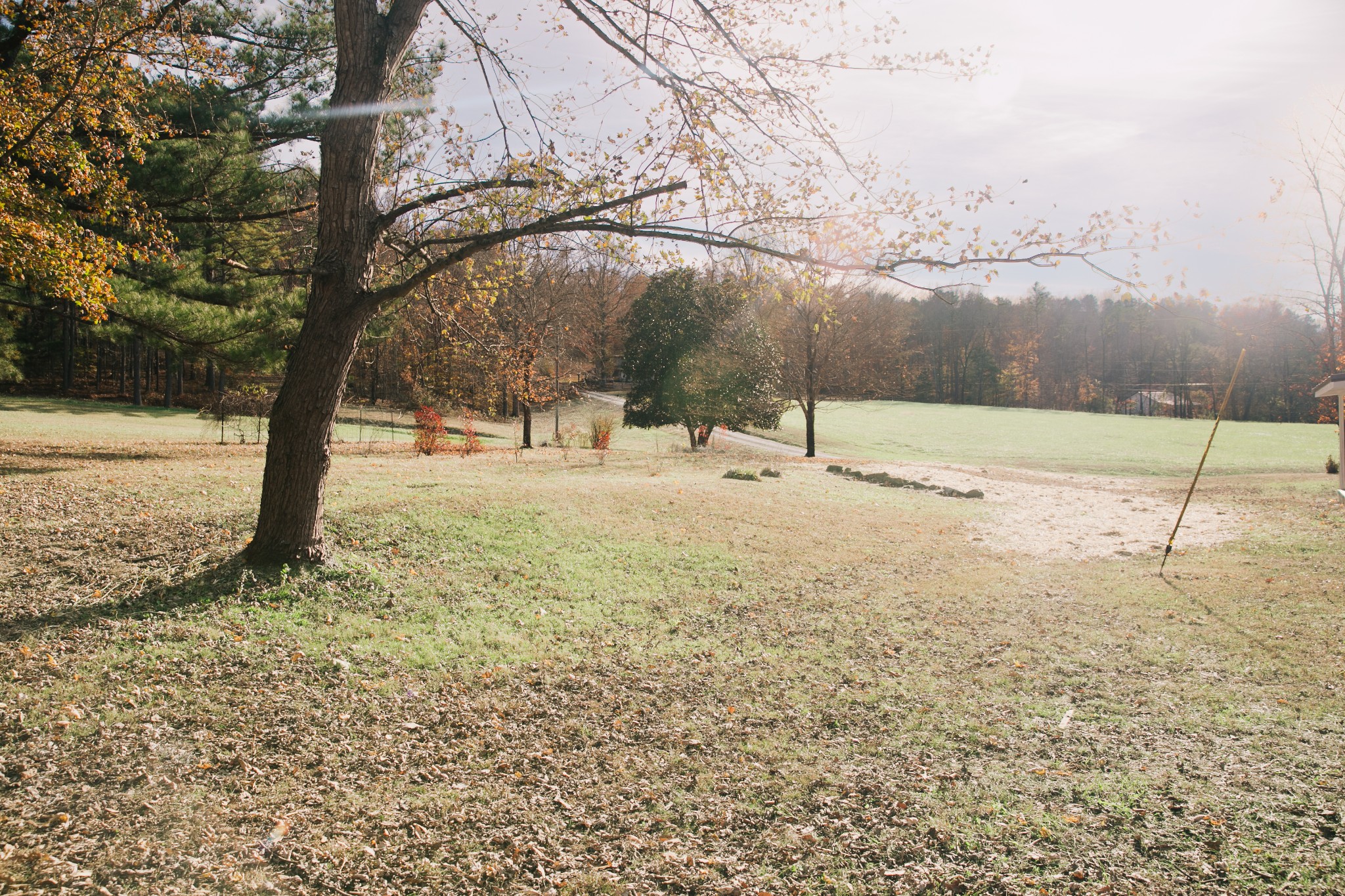 399 Indian Creek Road Hohenwald, TN 38462 - Photo 35 of 40