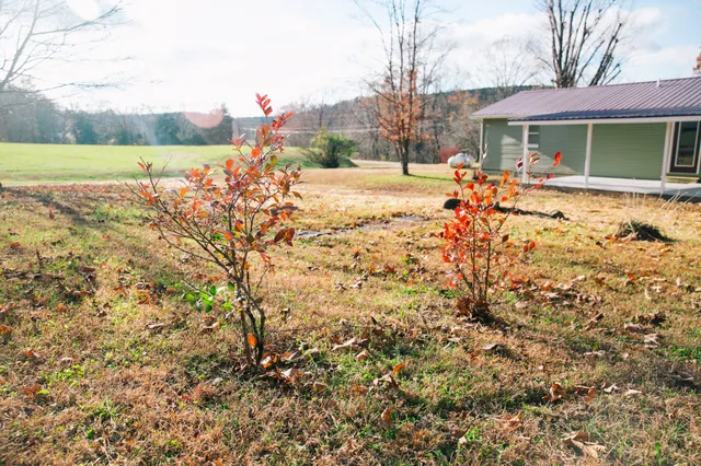 $289,900 | 399 Indian Creek Road, Hohenwald, TN 38462