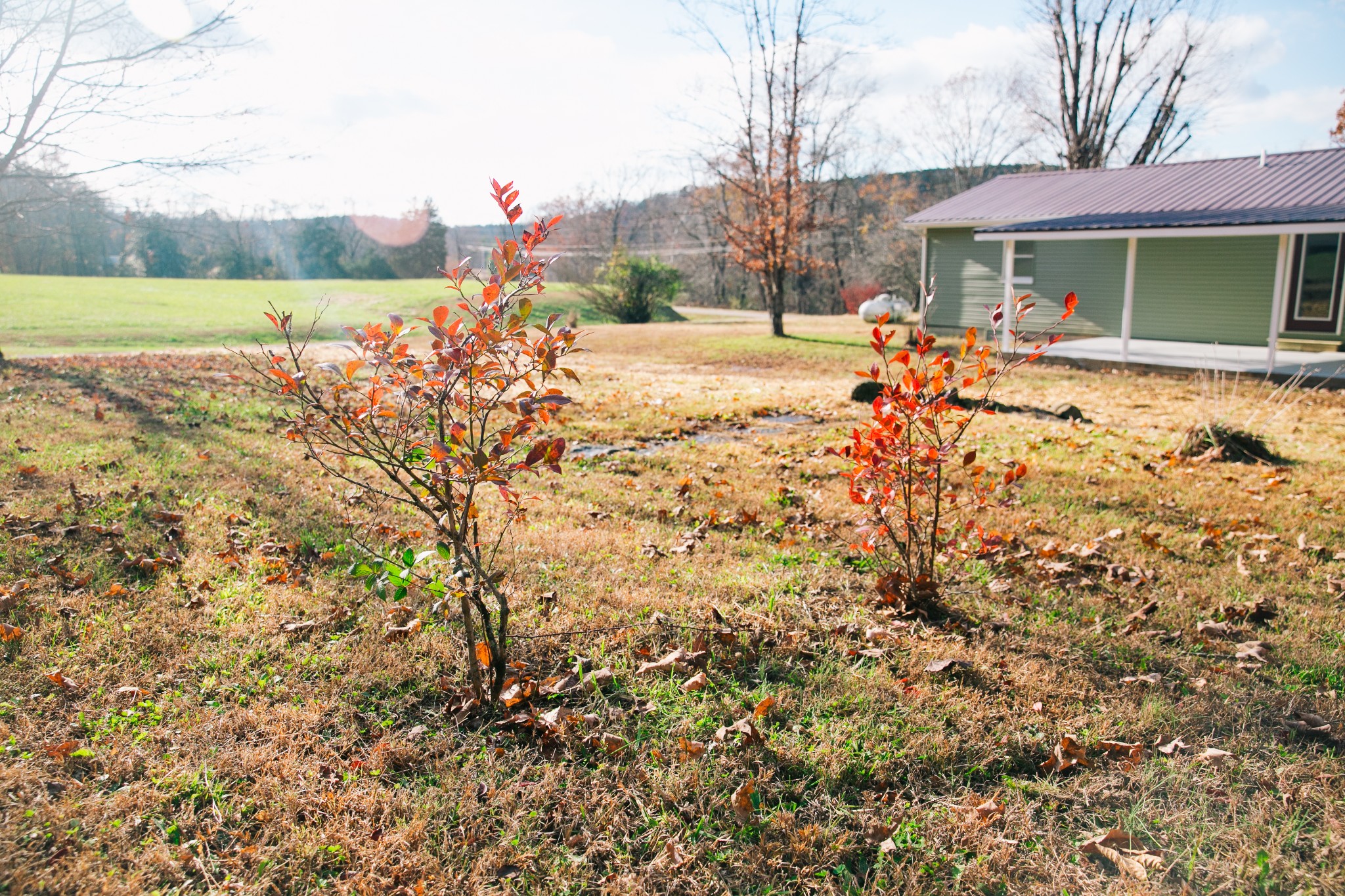 399 Indian Creek Road Hohenwald, TN 38462 - Photo 36 of 40