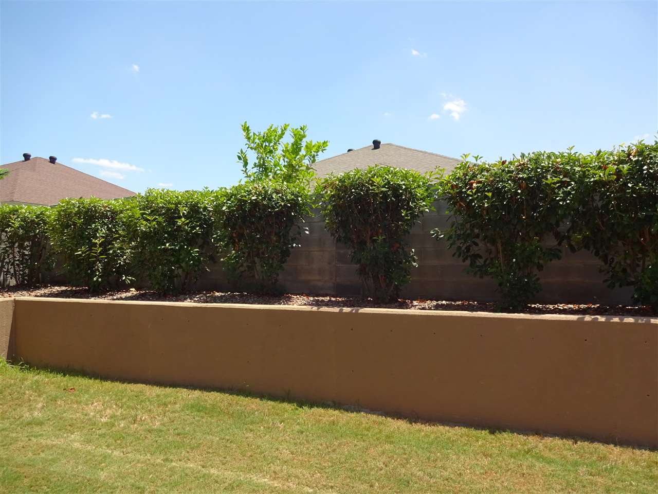 113 Michoacan Loop Laredo, TX 78045 - Photo 8 of 9 Gallery Image 8