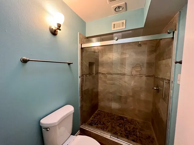 a bathroom with a shower and toilet