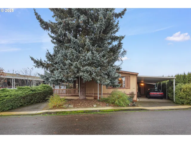 a view of road with trees