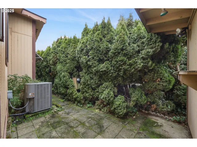 a view of a backyard