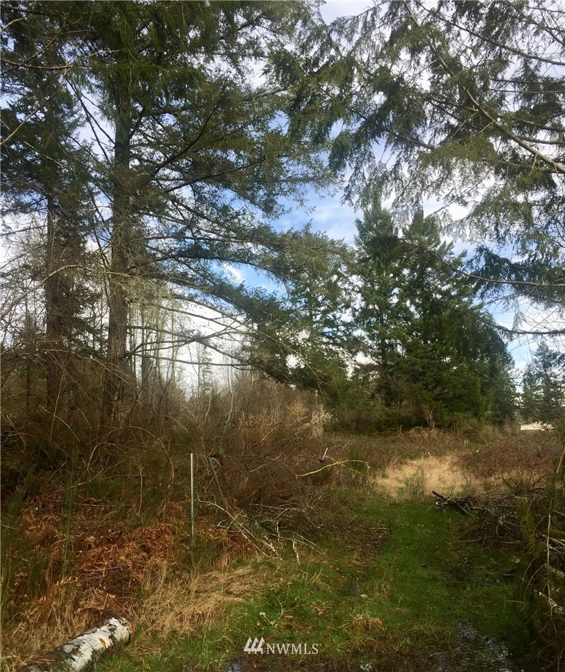 8709 Erickson Road Southwest Longbranch, WA 98349 - Photo 1 of 4