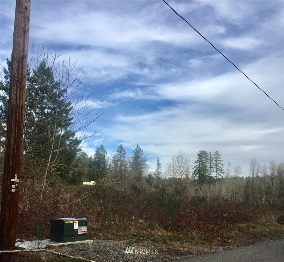 8709 Erickson Road Southwest Longbranch, WA 98349 - Photo 2 of 4