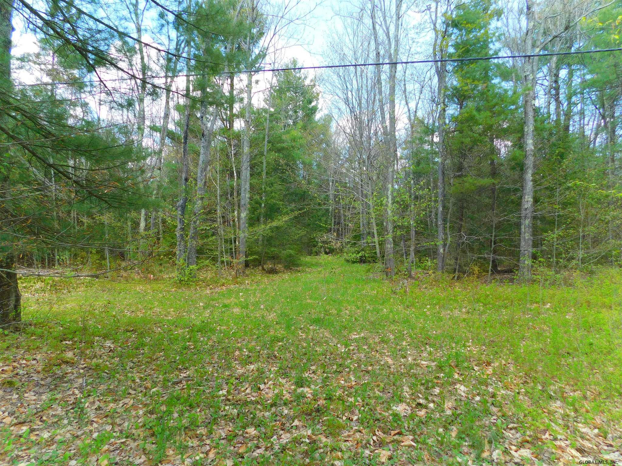 391 Stone Store Road Broome, NY 12122 - Photo 3 of 8 Photo 3