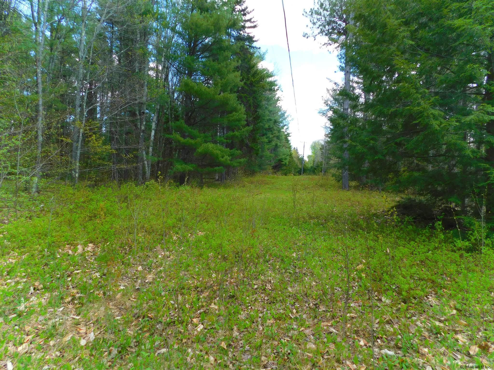 391 Stone Store Road Broome, NY 12122 - Photo 4 of 8 Photo 4
