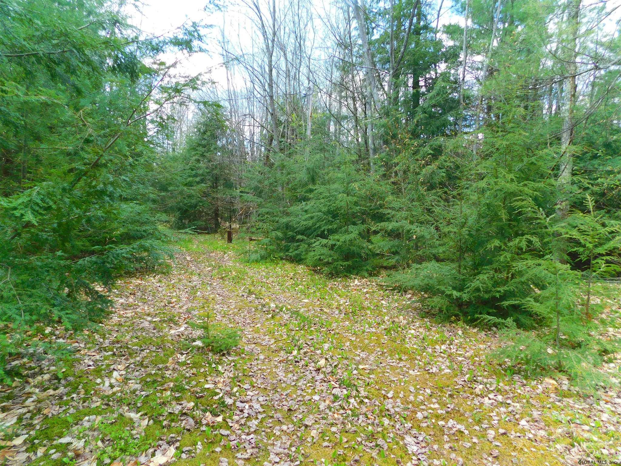 391 Stone Store Road Broome, NY 12122 - Photo 5 of 8 Photo 5