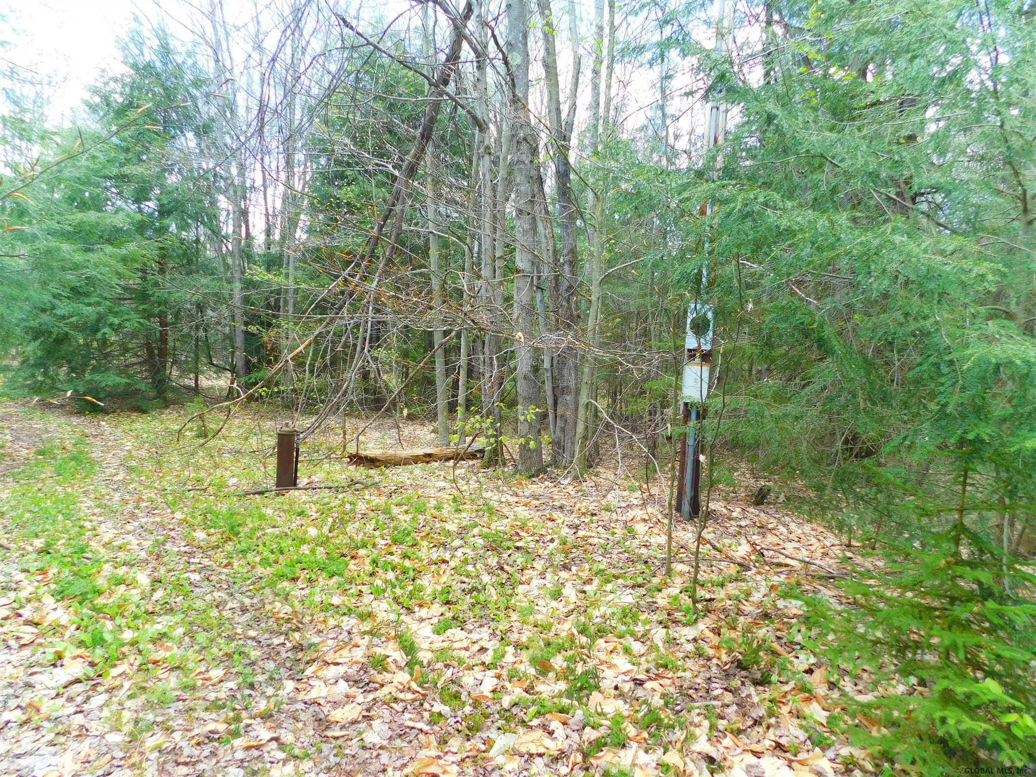 391 Stone Store Road Broome, NY 12122 - Photo 6 of 8 Photo 6