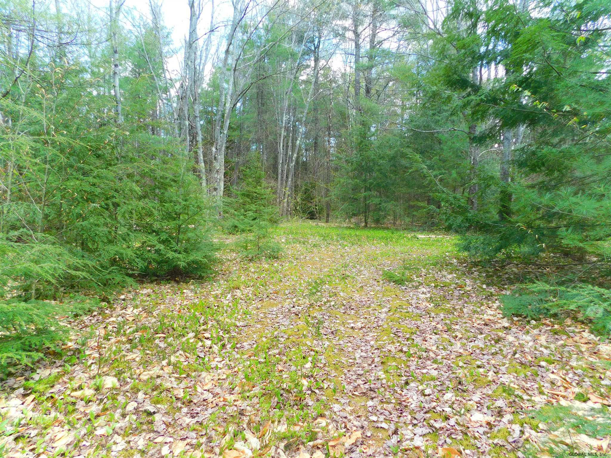391 Stone Store Road Broome, NY 12122 - Photo 7 of 8 Photo 7