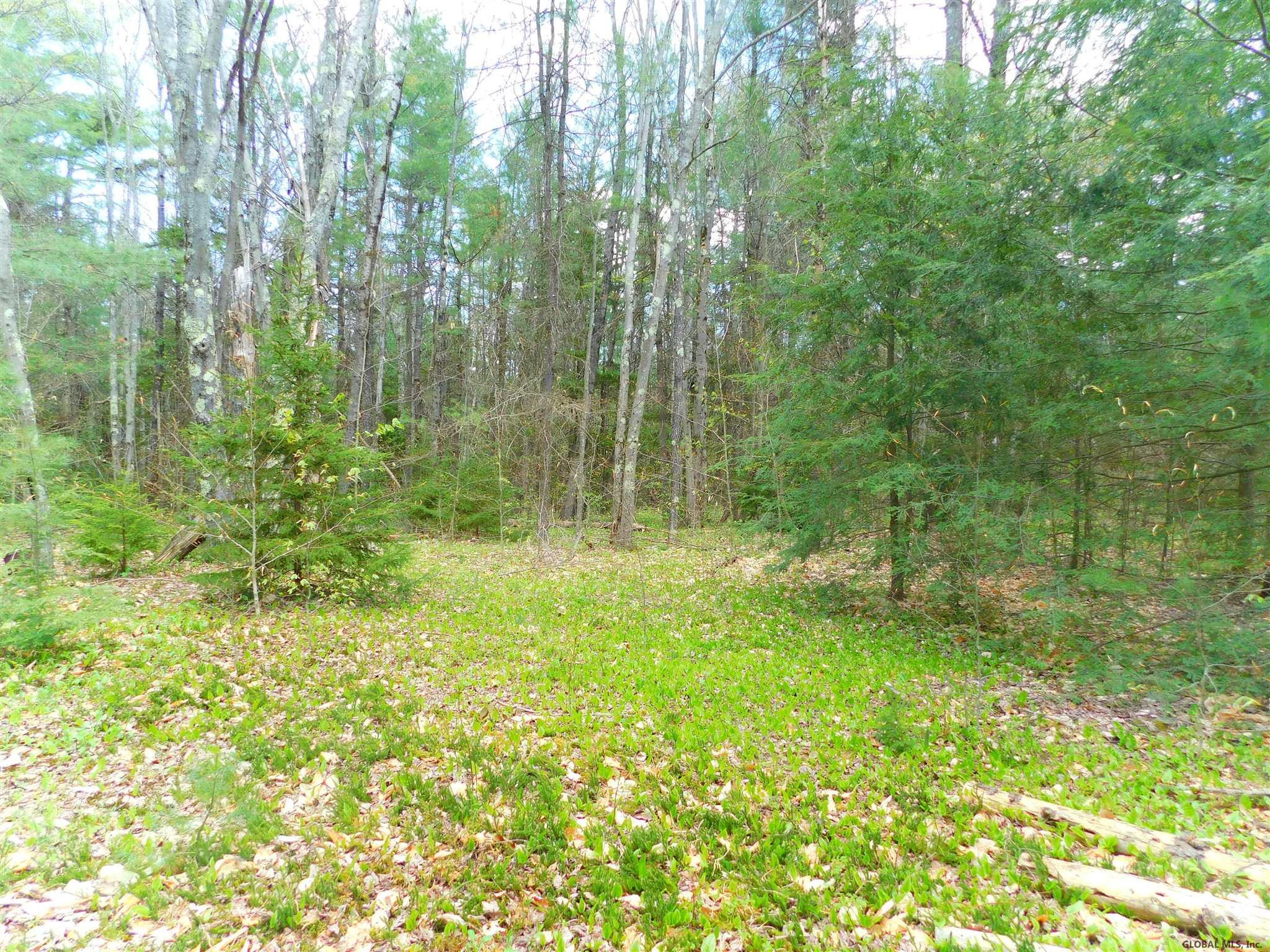 391 Stone Store Road Broome, NY 12122 - Photo 8 of 8 Photo 8
