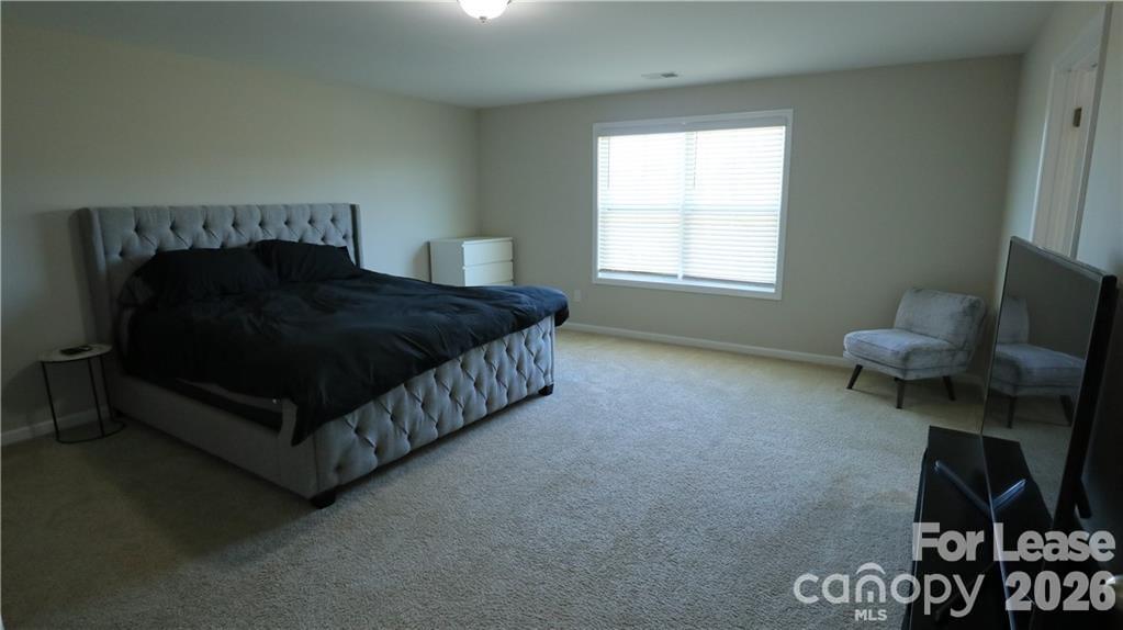 1437 Bramblewood Drive Fort Mill, SC 29708 - Photo 7 of 13