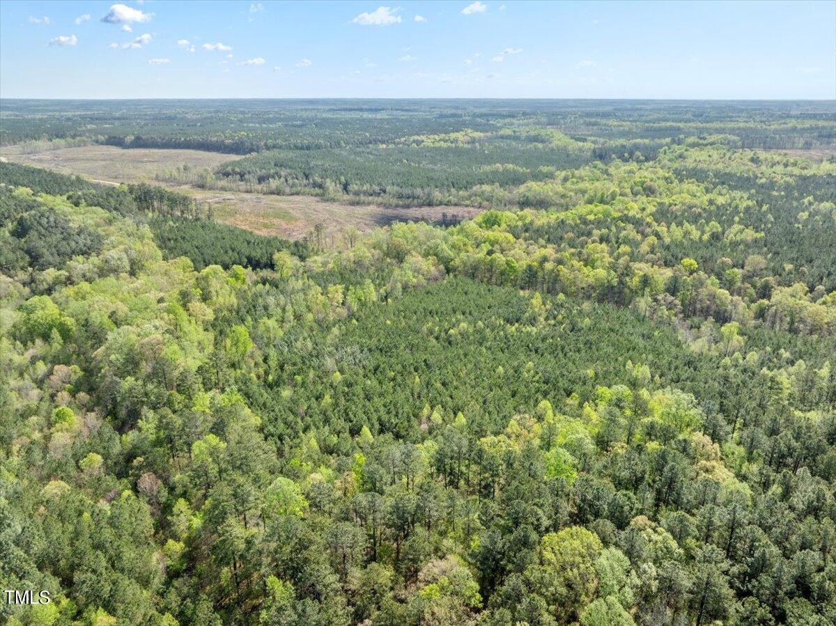 0 Long School Road Macon, NC 27551 - Photo 5 of 10
