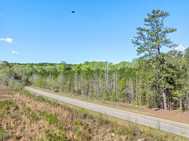 a view of a yard with plants and trees