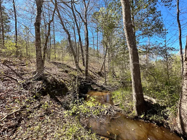 a view of a lake with a mountain in the background