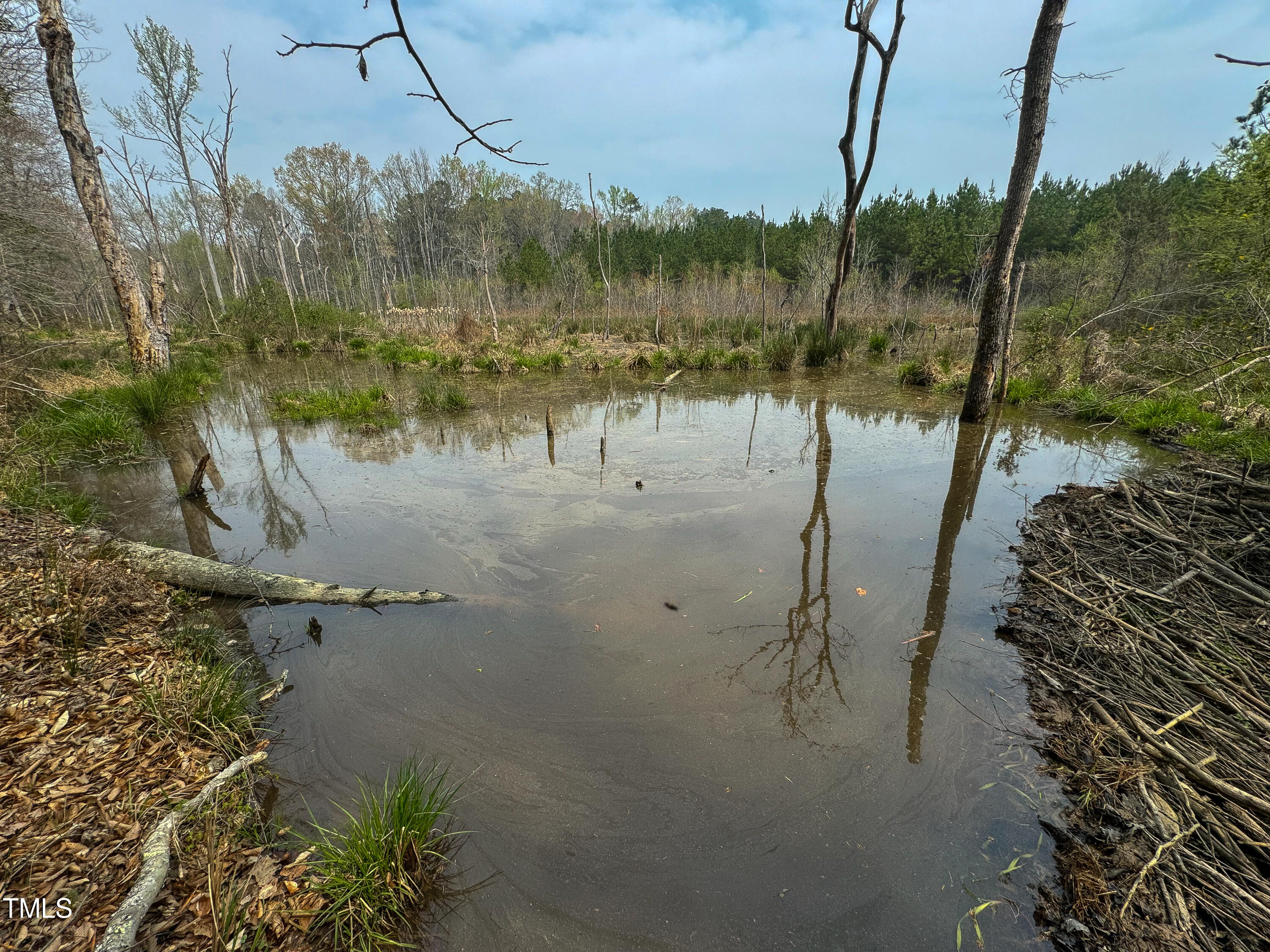 0 Long School Road Macon, NC 27551 - Photo 9 of 10 a view of a lake with a mountain in the background