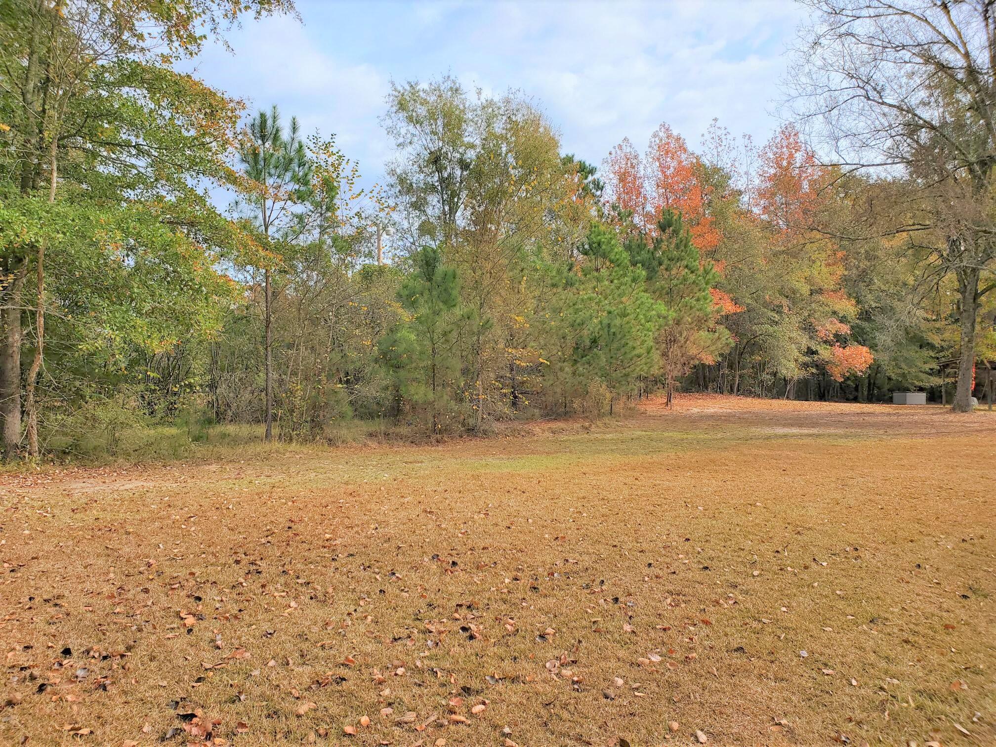 1421 James Loop Road Manning, SC 29102 - Photo 1 of 11 STREET VIEW