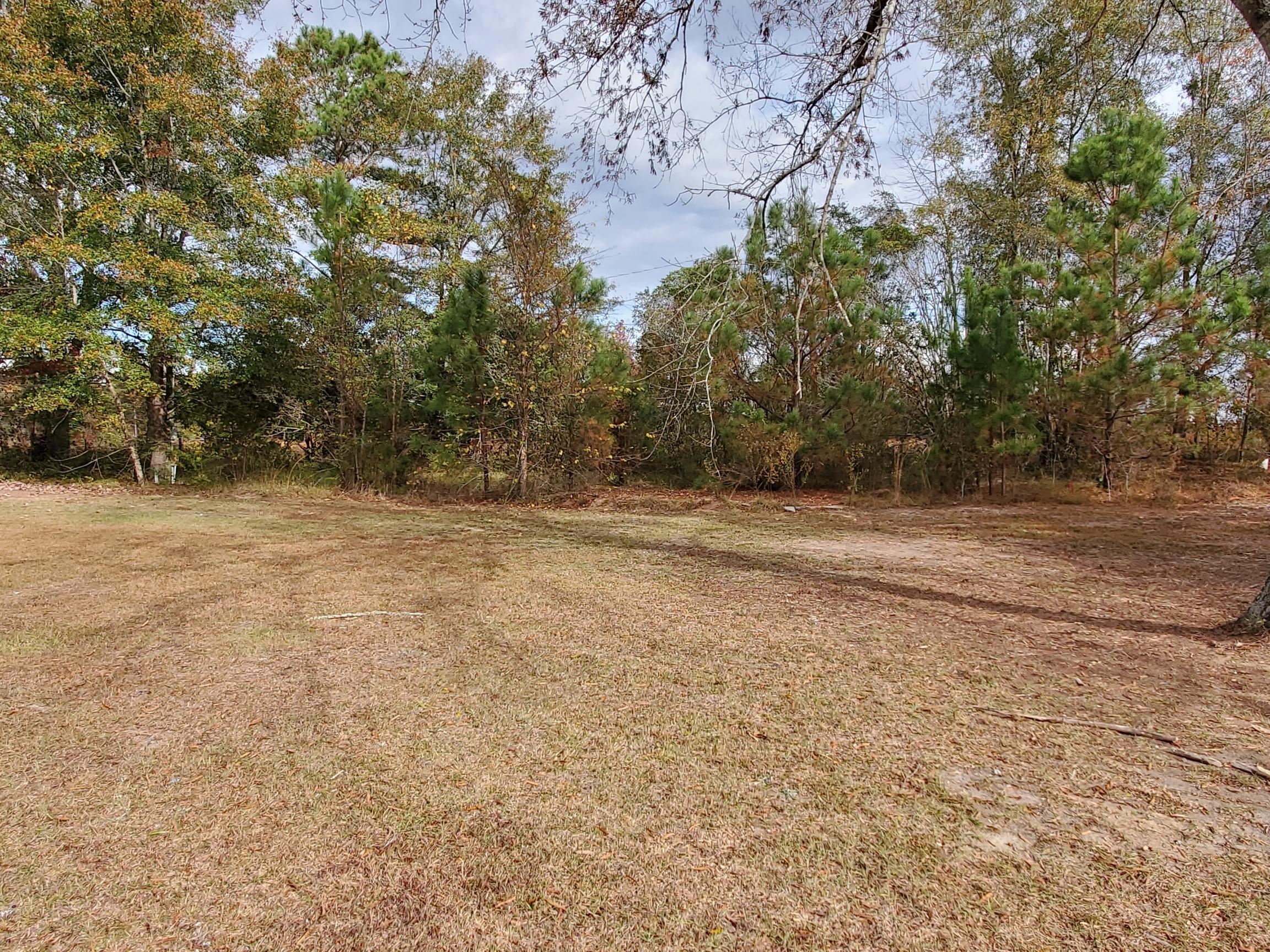1421 James Loop Road Manning, SC 29102 - Photo 3 of 11 LEVEL LOT