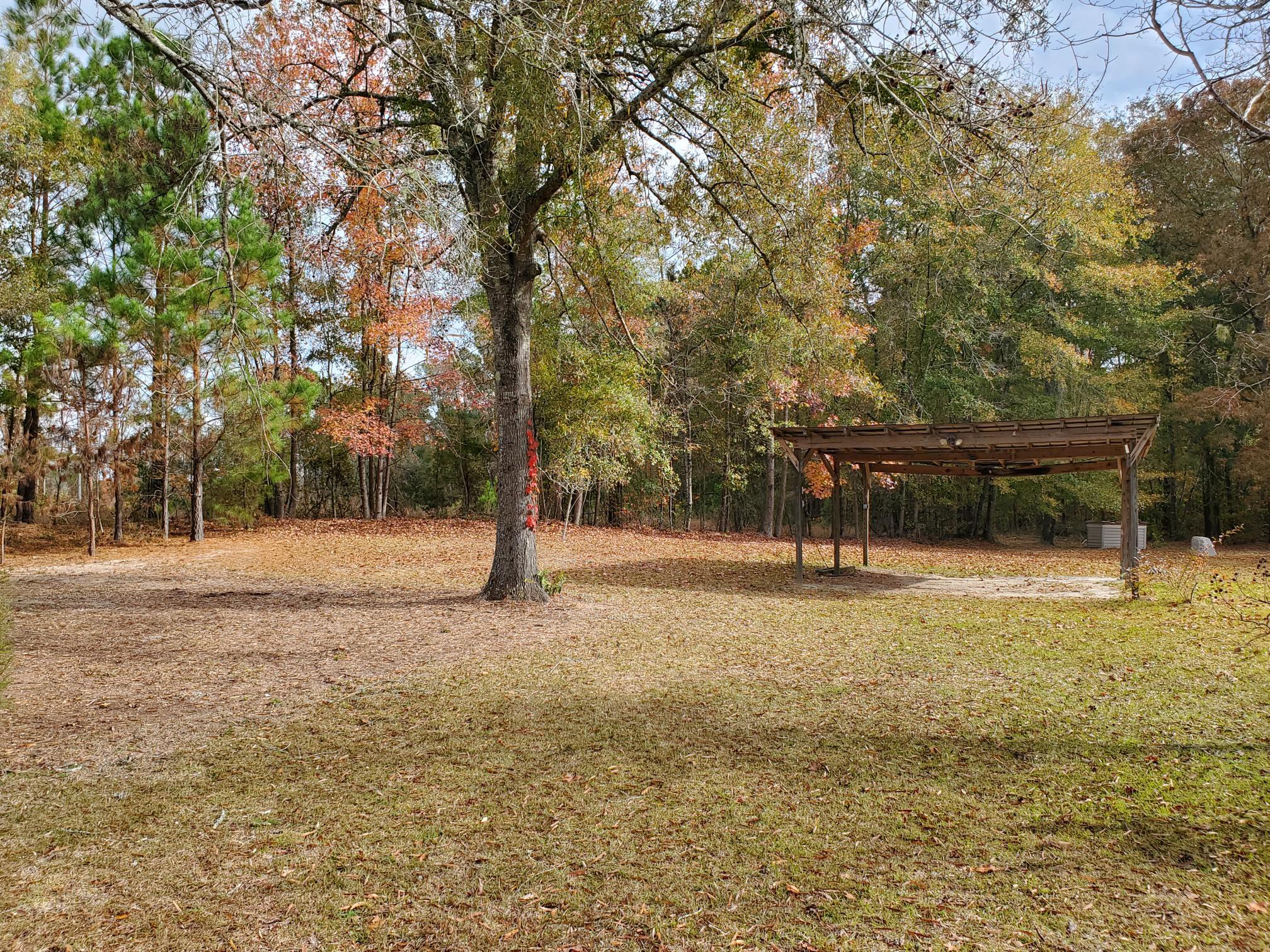 1421 James Loop Road Manning, SC 29102 - Photo 5 of 11 BORDERED IN THE BACK BY FARM FIELD