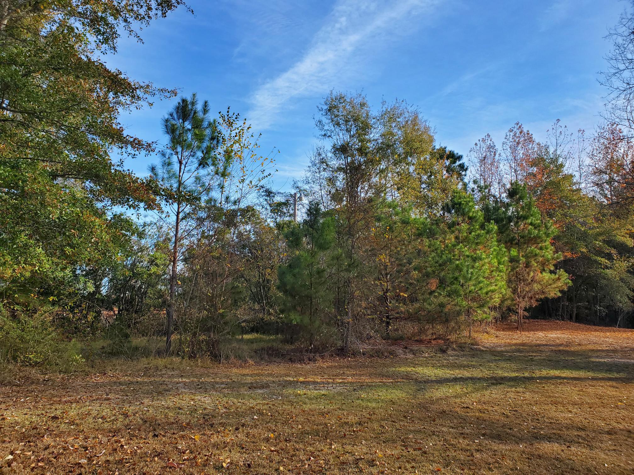 1421 James Loop Road Manning, SC 29102 - Photo 6 of 11 WELL, SEPTIC & ELECTRIC ON SITE