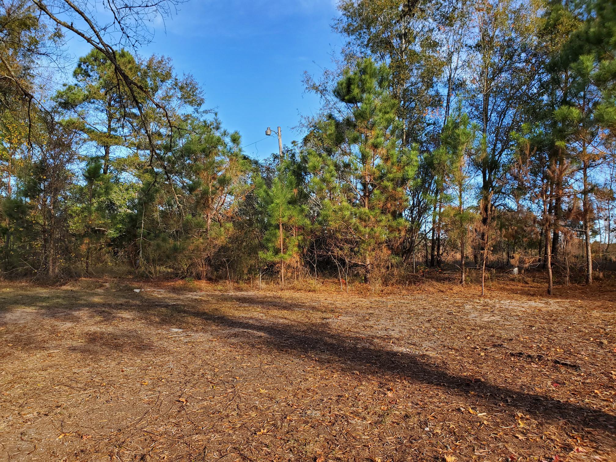 1421 James Loop Road Manning, SC 29102 - Photo 7 of 11 LOT VIEW