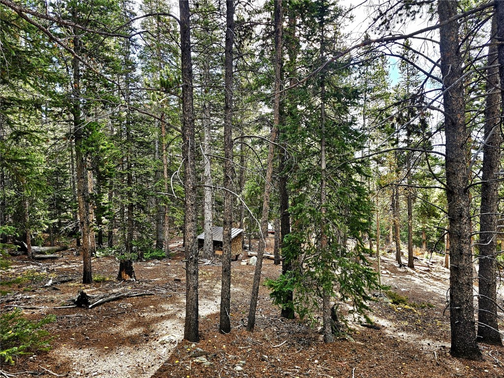 102 Gold Trail Fairplay, CO 80440 - Photo 12 of 13 a view of a forest with trees