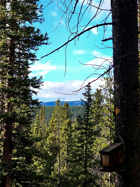 102 Gold Trail Fairplay, CO 80440 - Photo 7 of 13 a view of a small yard