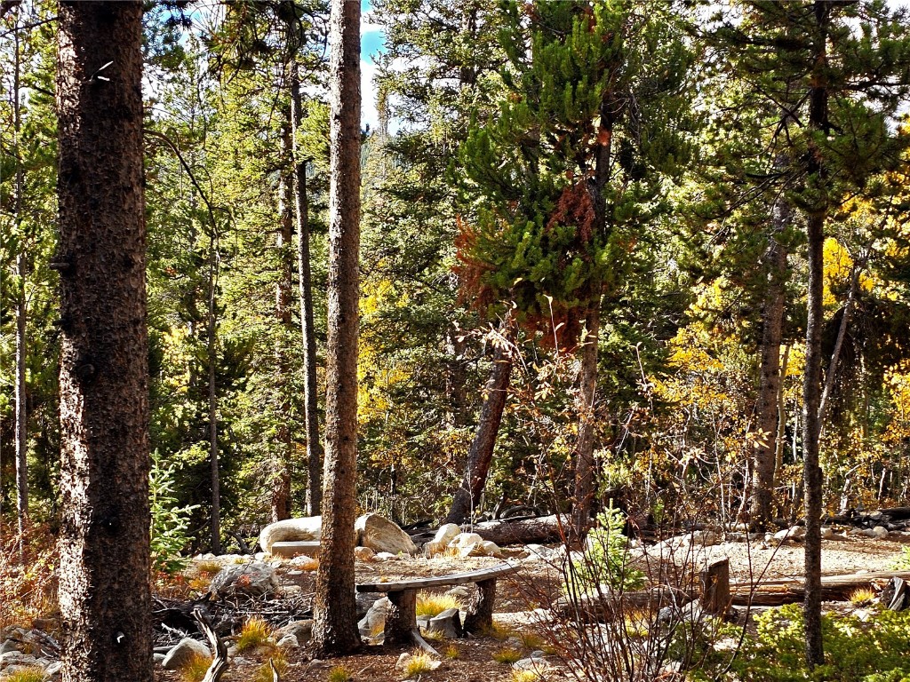 102 Gold Trail Fairplay, CO 80440 - Photo 9 of 13 a view of outdoor space