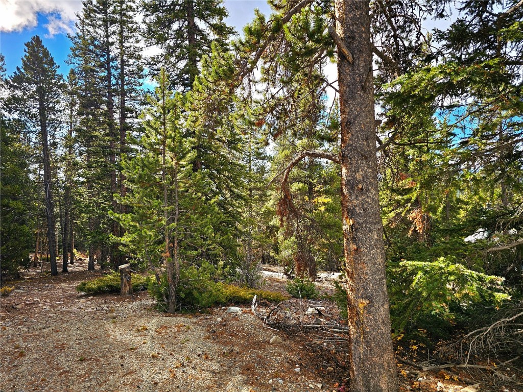 102 Gold Trail Fairplay, CO 80440 - Photo 10 of 13 a backyard of a house with lots of trees