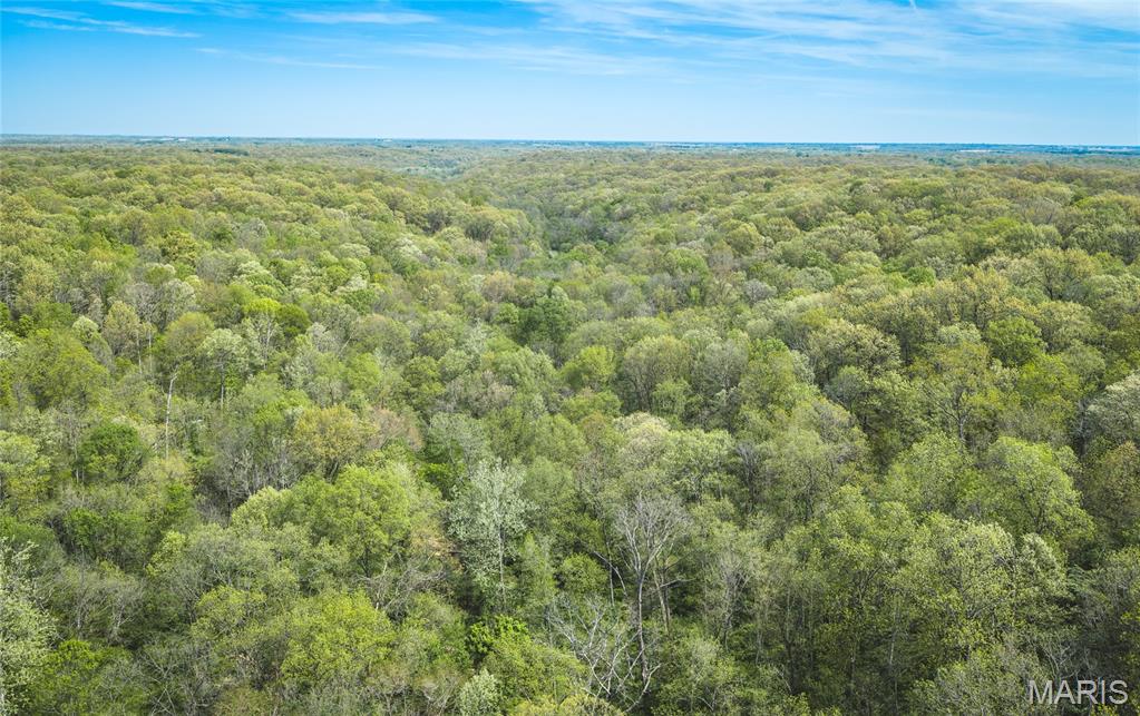 17816 Powerline Road Grafton, IL 62037 - Photo 10 of 50