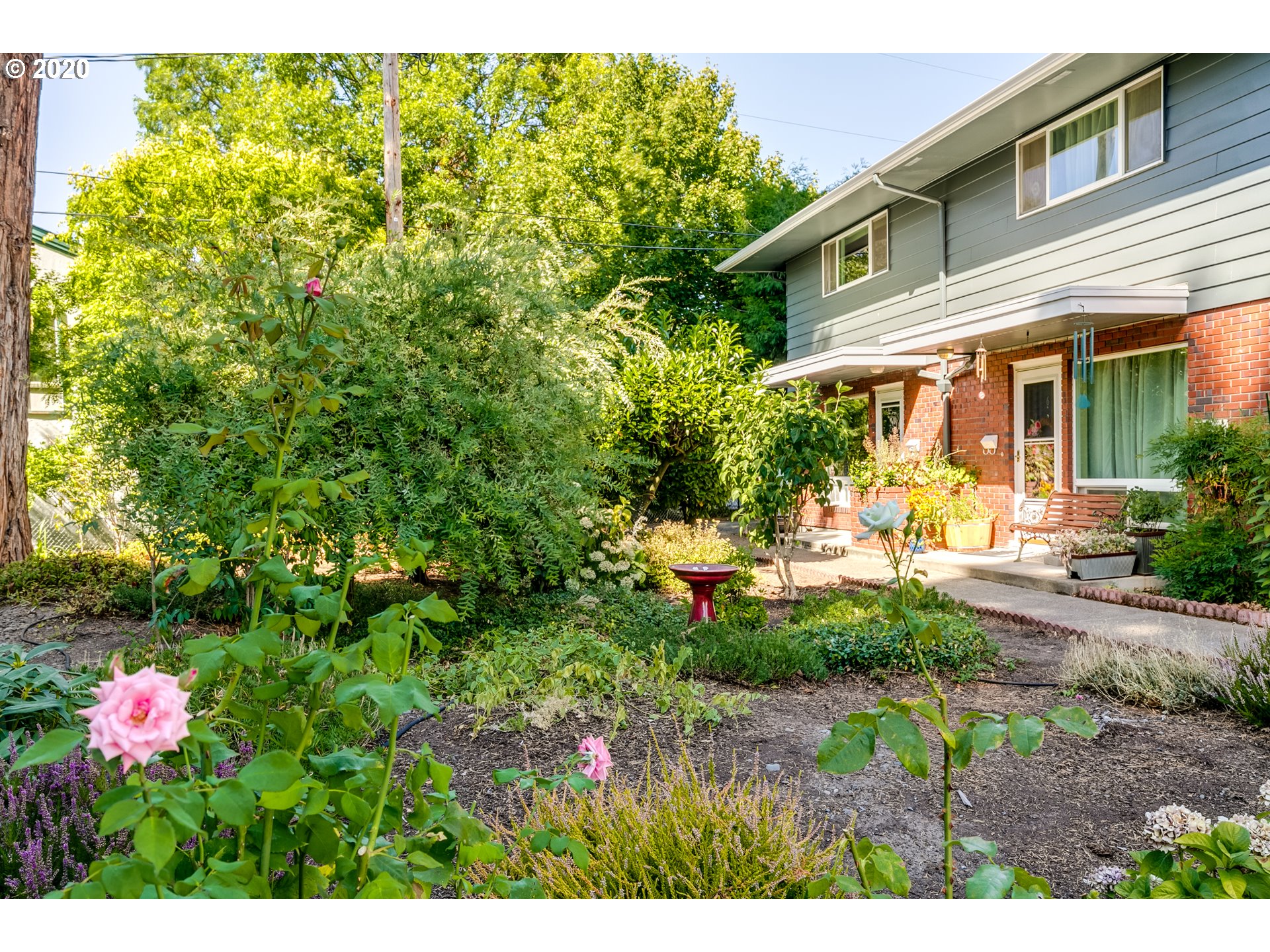 306 F Street, Unit 5 Springfield, OR 97477 - Photo 4 of 27