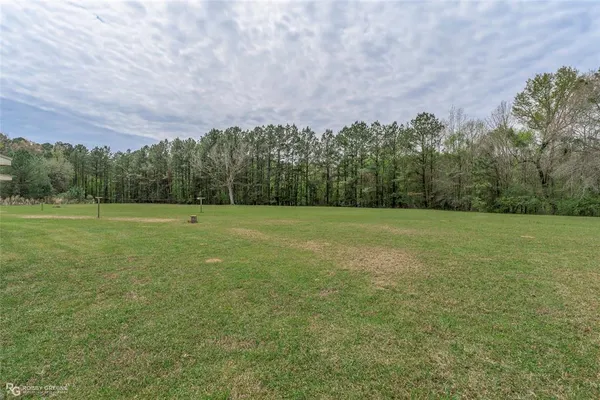 a view of a field with trees in background