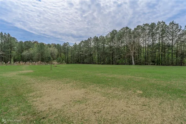 a view of a field with trees in background
