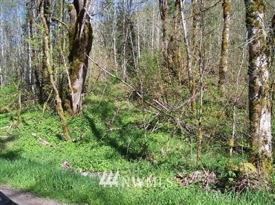 -xxx Bonell Road Randle, WA 98377 - Photo 1 of 1 Gallery Image 1