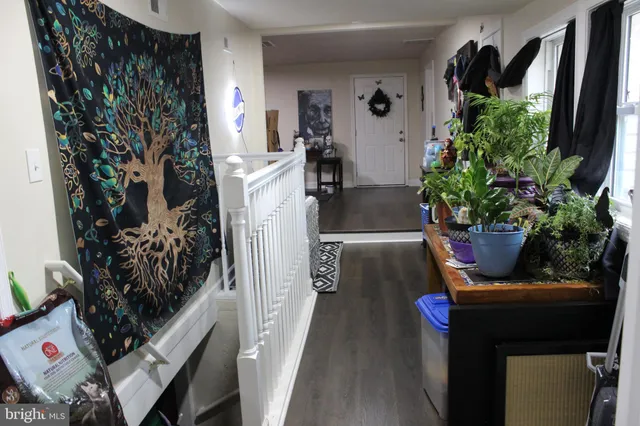 a view of living room filled with furniture and a potted plant