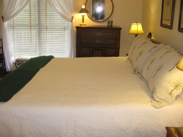 586 Palmetto Pointe Road Edisto Island, SC 29438 - Photo 13 of 50 586 Palmetto Pt (33)