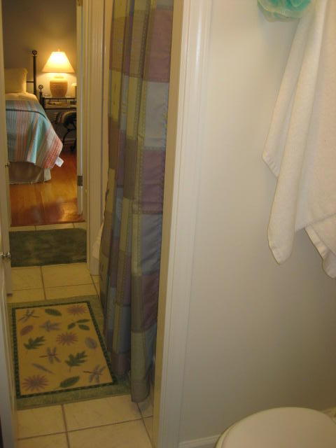 586 Palmetto Pointe Road Edisto Island, SC 29438 - Photo 23 of 50 586 Palmetto Pt (38)