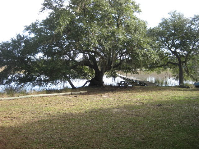 586 Palmetto Pointe Road Edisto Island, SC 29438 - Photo 30 of 50 586 Palmetto Pt (5)