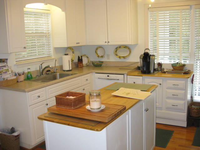 586 Palmetto Pointe Road Edisto Island, SC 29438 - Photo 4 of 50 586 Palmetto Pt (19)