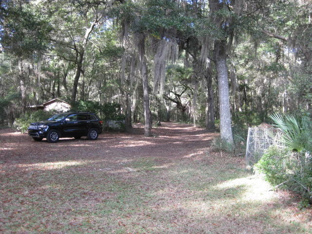 586 Palmetto Pointe Road Edisto Island, SC 29438 - Photo 34 of 50 586 Palmetto Pt (14)