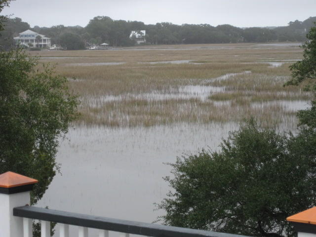 586 Palmetto Pointe Road Edisto Island, SC 29438 - Photo 37 of 50 586 Palmetto Pt (45)