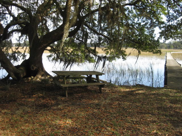 586 Palmetto Pointe Road Edisto Island, SC 29438 - Photo 38 of 50 586 Palmetto Pt (6)