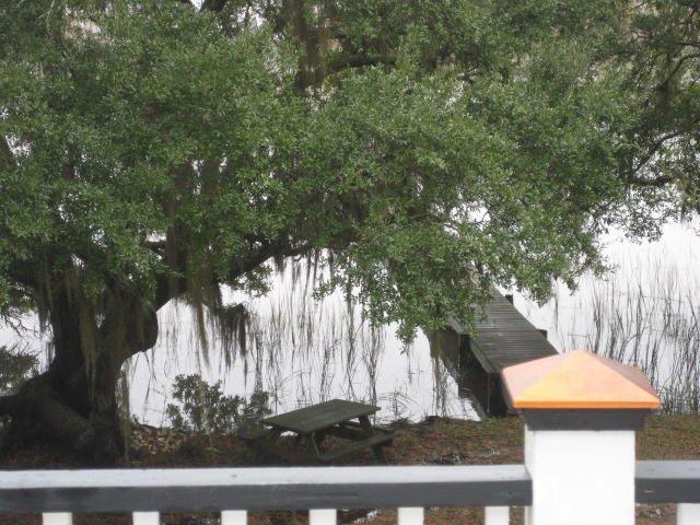 586 Palmetto Pointe Road Edisto Island, SC 29438 - Photo 39 of 50 586 Palmetto Pt (46)