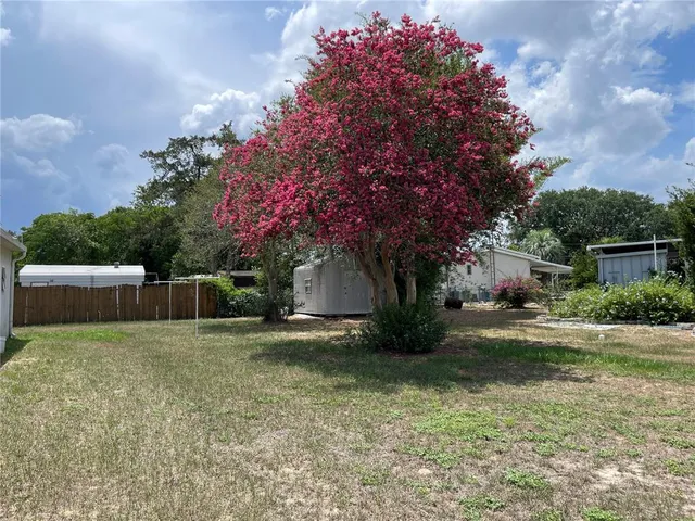a view of a backyard with a house and large trees
