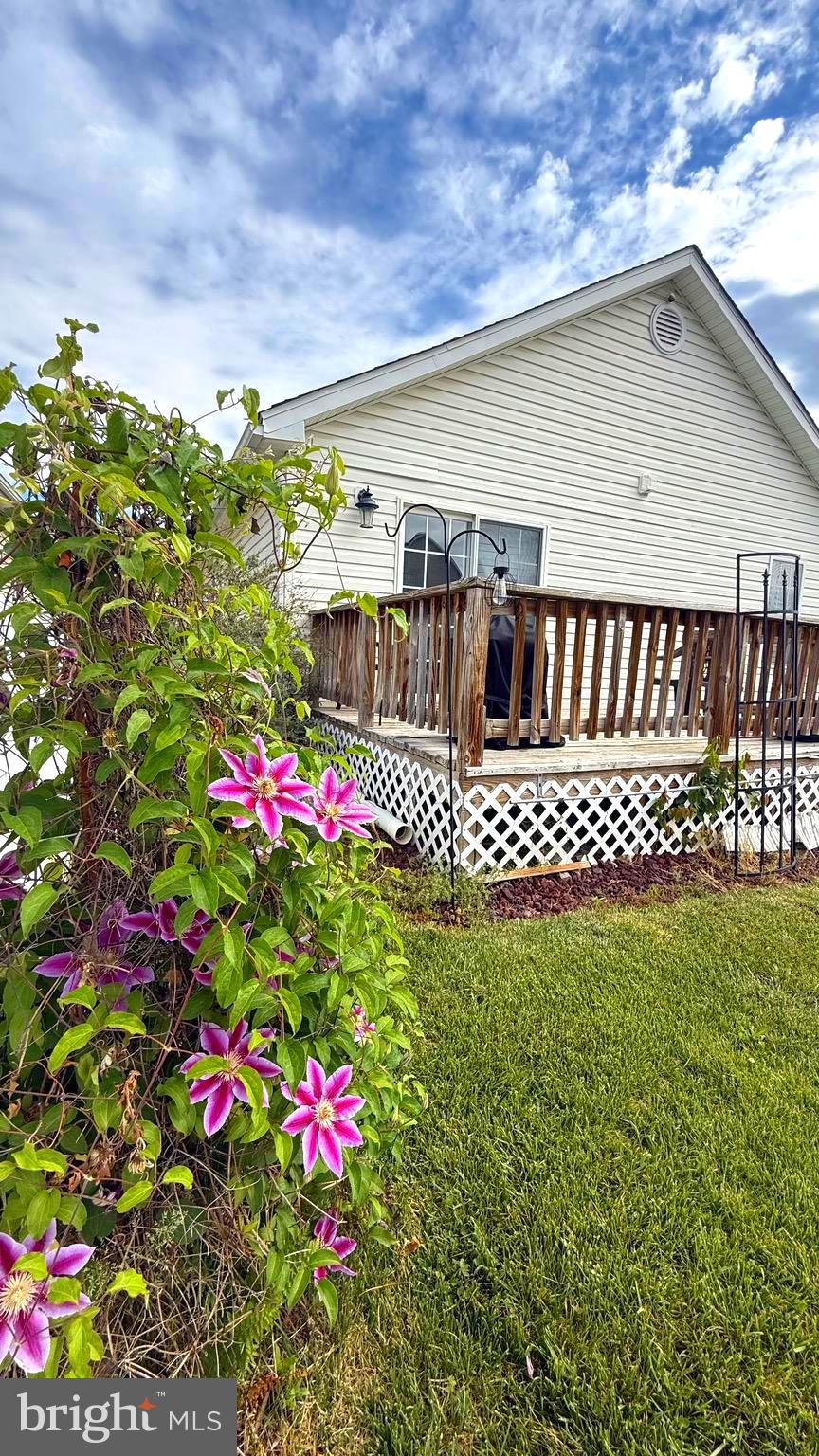 23 Whiskers Way Ranson, WV 25438 - Photo 49 of 51