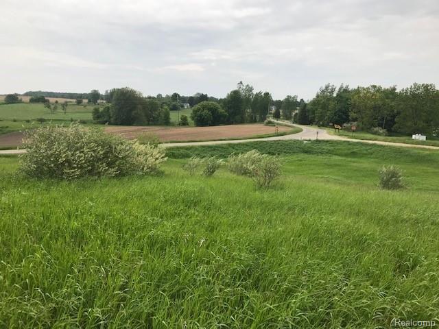 Vac Vac Meridian & Balcom Road Laingsburg, MI 48848 - Photo 8 of 20
